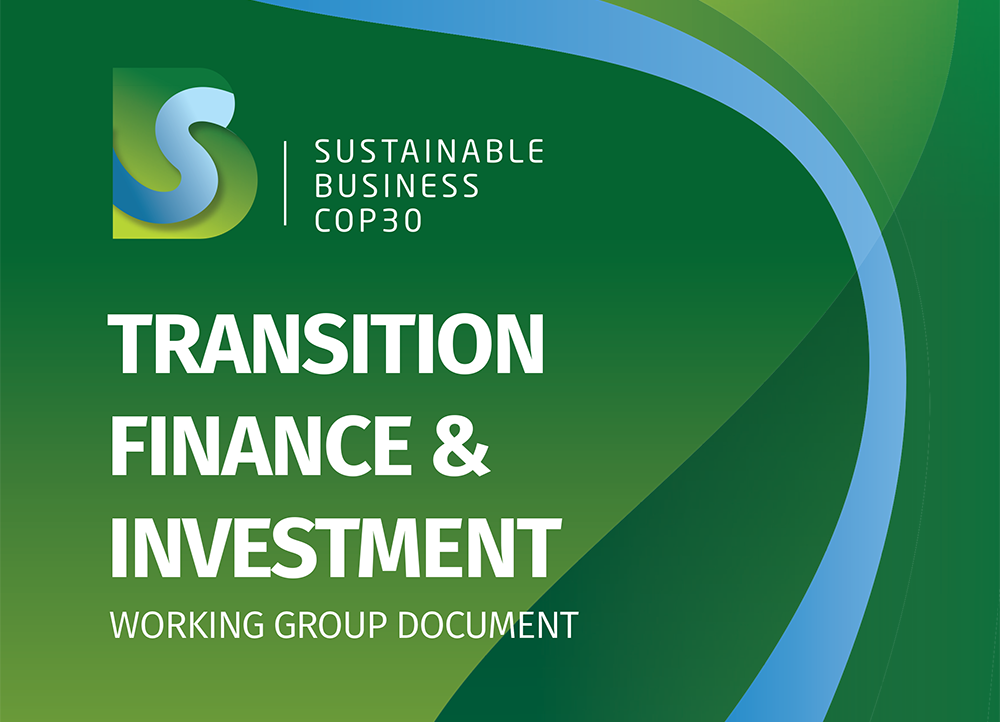 Green graphic with COP 30 "Sustainable Business" logo and "Transition Finance & Investment Working Group Document.